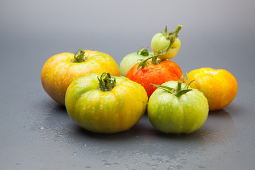 Tomate verde y tomate maduro de color rojo. El tomate verde madurará fuera de la planta el tomate rojo ha sido cogido para ser consumido de forma inminente. El tomate se puede comer crudo o cocinado