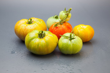 Tomates verdes y rojos, tomates verdes y maduros, recién traidos del huerto y preparados para ser cocinados o bien comidos crudos en una ensalada.