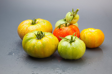 Tomates verdes y rojos, tomates maduros y tomates por madurar; bodegón de tomates ecológicos que no nos los más bonitos del mundo pero si son los más sabrosos y llenos de vitaminas
