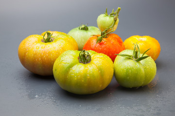 Tomates ecológicos recién traidos del huerto, cultivados de forma ecológica sin pesticidas ni productos químicos.