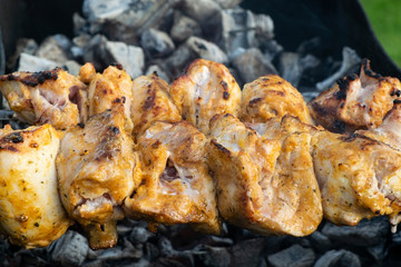 Marinated chicken kebab is cooked on the grill on the coals.
