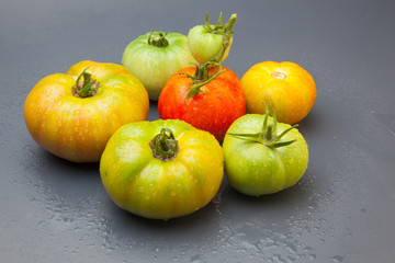 Tomates verdes y rojos, tomates verdes y maduros, recién traidos del huerto y preparados para ser cocinados o bien comidos crudos en una ensalada.