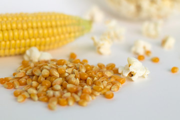 yellow corn and white popcorn on white background. grain of corn. 