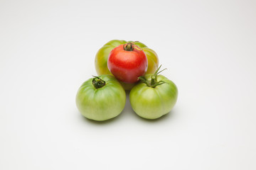 Proceso de maduración del tomate, se recoge verde de la planta y se deja madurar fuera, en neveras para que llegue y se mantenga fresco durante mucho tiempo
