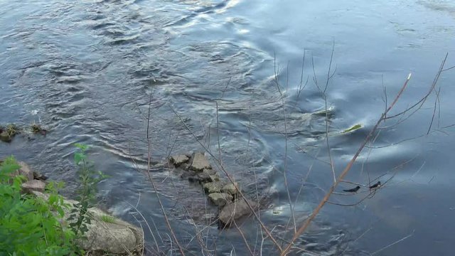Fast moving current of the river Narva.