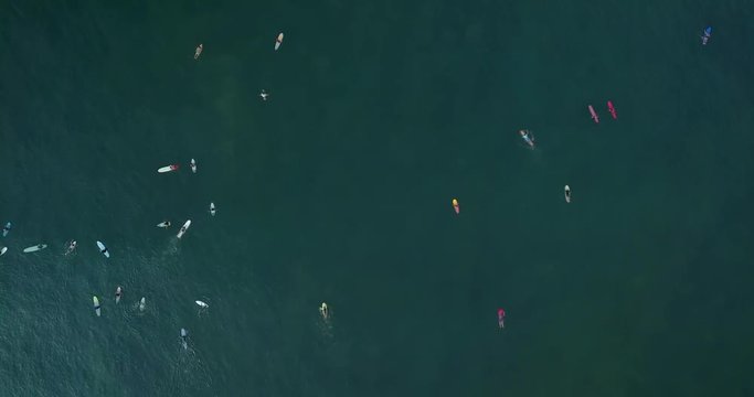 Cinematic aerial drone timelapse of many surfers with long and short surf boards surfing in ocean on sunset or sunrise. Modern active lifestyle. Water sport adventure camp. Extreme on summer vacation.