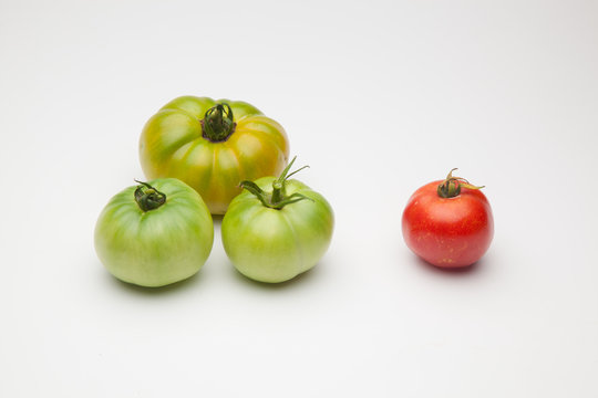 Proceso de maduraci&oacute;n, el tomate pasa de verde a rojo, el proceso de maduraci&oacute;n es claro. Los tomates se suelen coger maduros aunque hay una tendencia de cogerlos verdes para que duren m&aacute;s en el merca