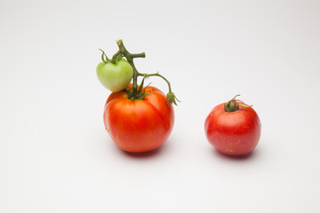 Tomates verdes y rojos, tomates maduros y tomates por madurar; bodegón de tomates ecológicos que no nos los más bonitos del mundo pero si son los más sabrosos y llenos de vitaminas