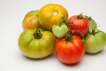 Naklejka na ściany i meble Tomates verdes y rojos, tomates verdes y maduros, recién traidos del huerto y preparados para ser cocinados o bien comidos crudos en una ensalada.
