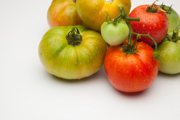 Tomate ecológico verdes y rojos que son los maduros, Los tomates tienen muchas propiedades de sabor y vitaminas. los podemos comer crudos en ensalada y zumos, podemos hacer salsas y mermeladas. Los po