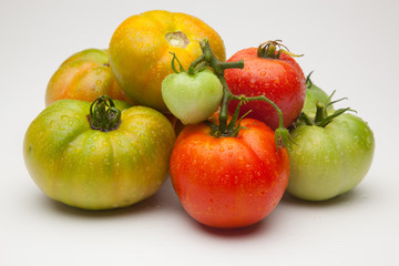 Tomates verdes y rojos, tomates maduros y tomates por madurar; bodegón de tomates ecológicos que no nos los más bonitos del mundo pero si son los más sabrosos y llenos de vitaminas