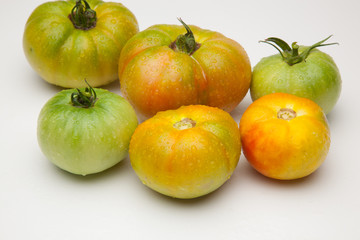 Tomate ecológico verdes y rojos que son los maduros, Los tomates tienen muchas propiedades de sabor y vitaminas. los podemos comer crudos en ensalada y zumos, podemos hacer salsas y mermeladas. Los po