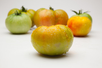 Tomate ecológico verdes y rojos que son los maduros, Los tomates tienen muchas propiedades de sabor y vitaminas. los podemos comer crudos en ensalada y zumos, podemos hacer salsas y mermeladas. Los po