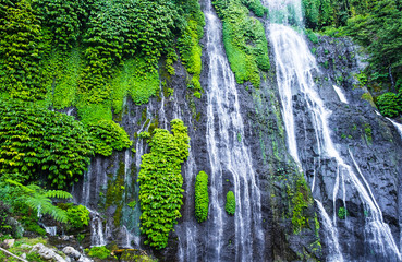 Banyumala waterfall with cascades among the green tropical trees and plants in the North of the island of Bali, Indonesia