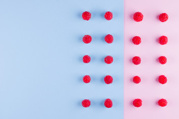 Pattern of raspberries on pink blue background. Colorful diet and healthy food concept. Background of raspberries. Top view. Flat lay. Copy space