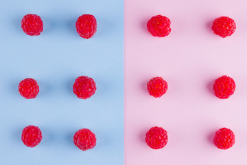 Pattern of raspberries on pink blue background. Colorful diet and healthy food concept. Background of raspberries. Top view. Flat lay. Copy space
