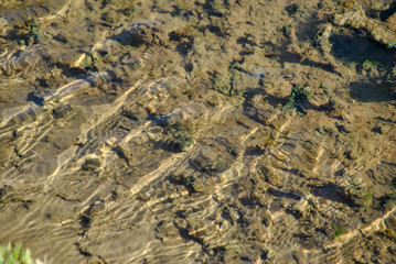 water reflections in a pond
