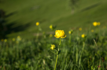 Sunset in the mountain valleys, Carpathians, Ukraine