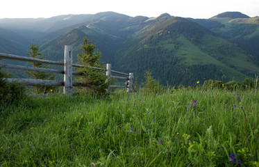 Fototapeta premium unset in the mountain valleys, Carpathians, Ukraine