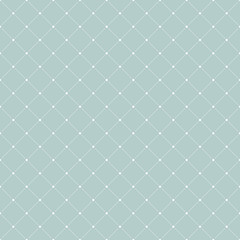 Fototapeta na wymiar Geometric dotted vector pattern. Seamless abstract modern light blue and white texture for wallpapers and backgrounds