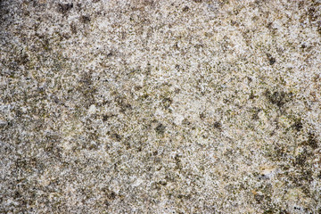 Rough grunge vintage background distressed weathered dirty old texture