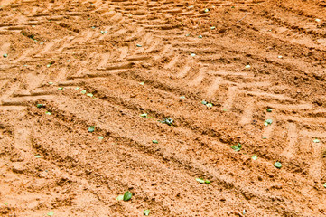 The texture of the brown earth of the sand road with traces of the tire treads of the tractor's car tires. The background