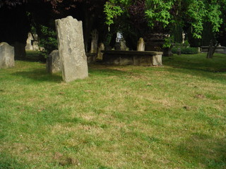 gravestones in cemetery