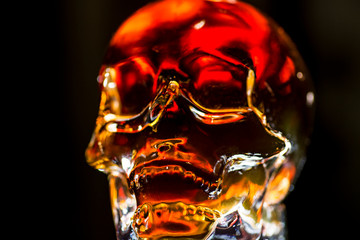 Glass skull with backlight. Glass skull glowing with golden light on a dark background