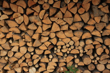 tas de bois