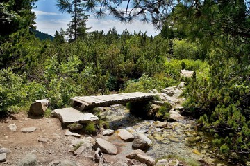 A small wooden bridge on the sidewalk in Mlynicka valley at the ascent to the Skok waterfall.