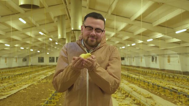 Successful farmer shows and admires a little chicken in hand at camera