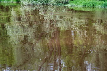 Eirskircher Ried beim Bodensee