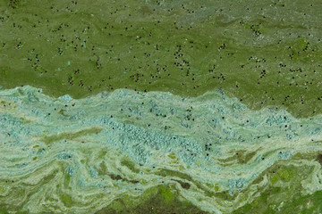Cropped shot of dirty water, top view. Ecology, environmental pollution, nature concept. Abstract colorful background texture.