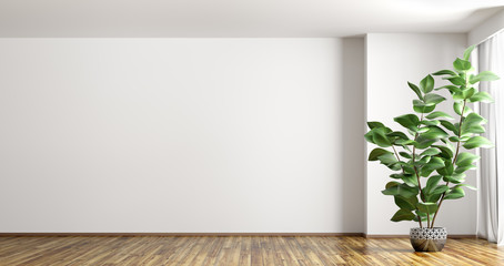 Interior background with plant 3d render