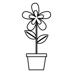 flower in pot decoration white background