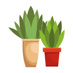 Decorative house plant pots cartoon