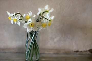 Bouquet of daffodils