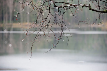 Oslo