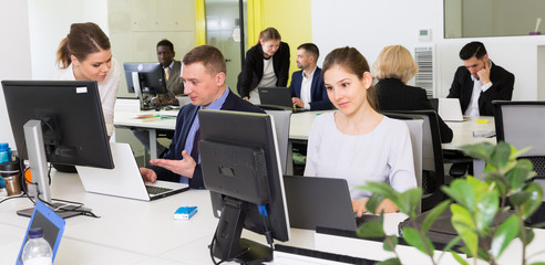 Fototapeta premium Business people working in open plan office