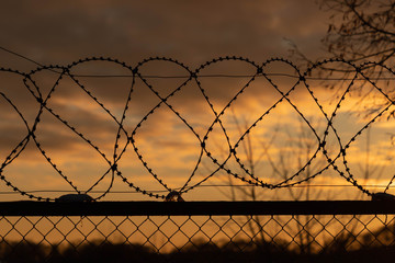 Barbed wire fence at sunset, gloomy sky, tree branches