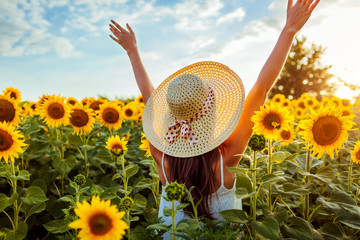 Young woman walking in blooming sunflower field raising hands and having fun. Summer vacation
