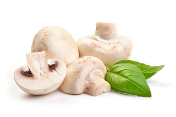 Champignons, close-up, isolated on white background