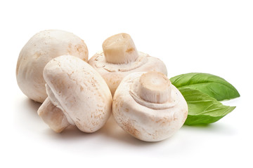 Champignons, close-up, isolated on white background