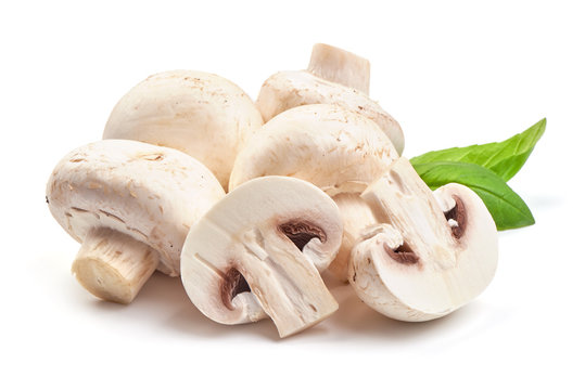 Champignons, close-up, isolated on white background