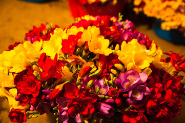 Garden greenhouse. Agribusiness