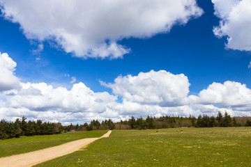 beautiful meadows north of Esbjerg, Jutland, Denmark