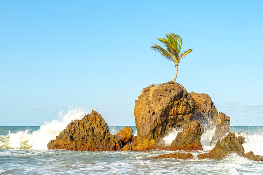 Praias - Para&iacute;ba - PB 