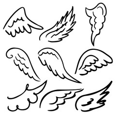 Wings collection. Vector illustration set with angel wing icon isolated on white background