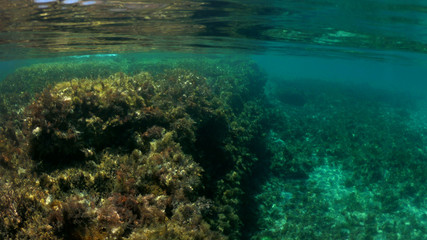 Split of above and underwater photo of iconic and beautiful small cove and sandy clear turquoise beach of Agios Sostis, Mykonos island, Greece