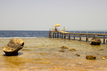The photo of gold and silver  coins collected with help of underwater metal detector. Treasure...